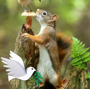 Meet your Posher, Haydee